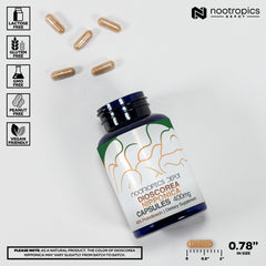 Nootropics Depot 400mg serving closeup supporting steady energy and focus