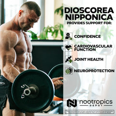 Nootropics Depot capsules jar with scoop for easy daily regimen