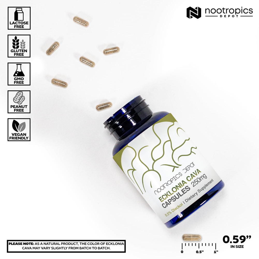 Nootropics Depot Ecklonia Cava capsules in hand, convenient daily wellness companion.