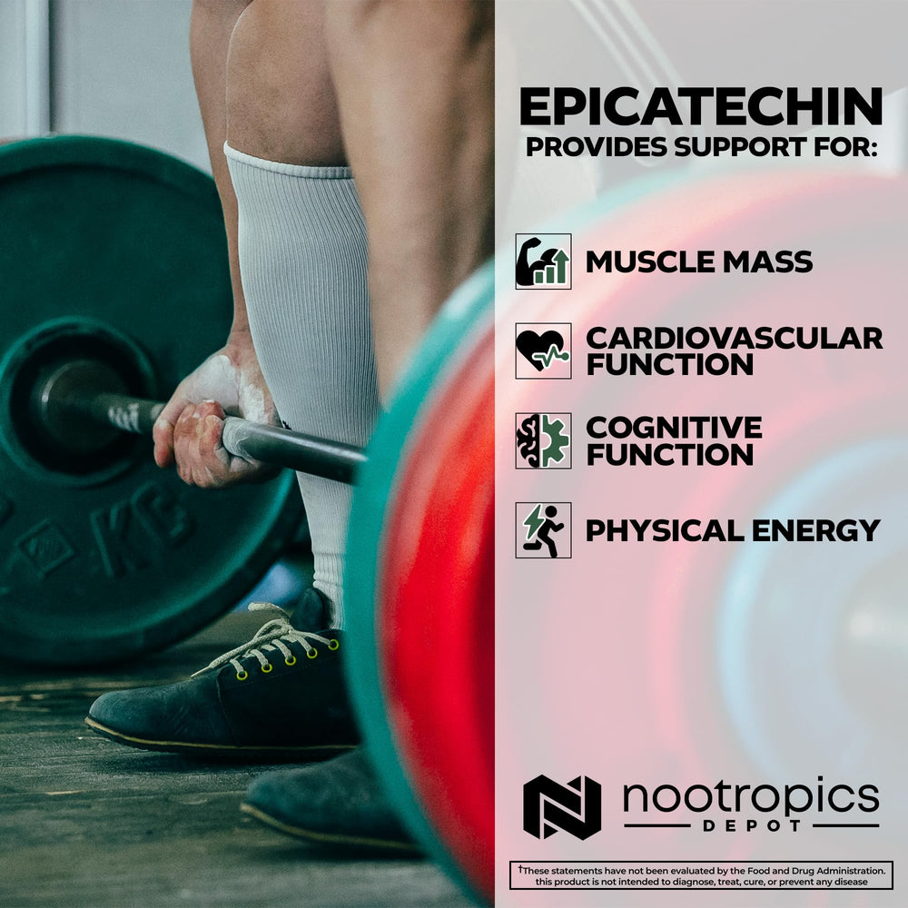Nootropics Depot Epicatechin tablets with piperine for enhanced absorption.