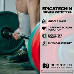 Nootropics Depot Epicatechin tablets with piperine for enhanced absorption.