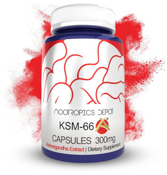 Nootropics Depot KSM-66 Ashwagandha capsules bottle for daily calm and focus.