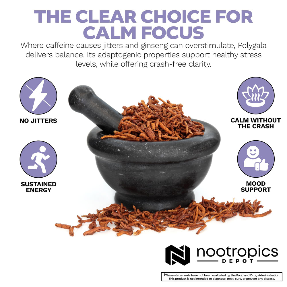 Nootropics Depot lab-tested purity label on bottle indicating quality control.