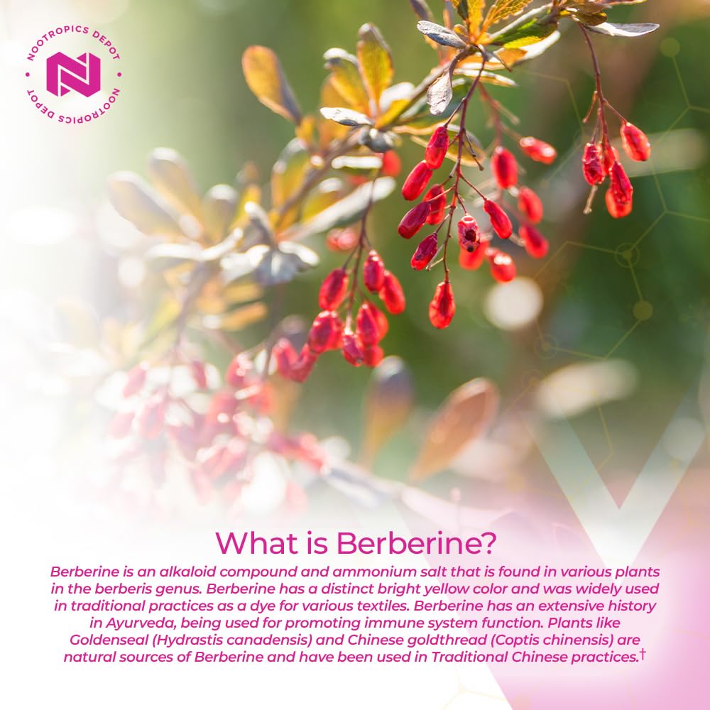 Nootropics Depot berberine HCL plus silymarin label close up with ingredients
