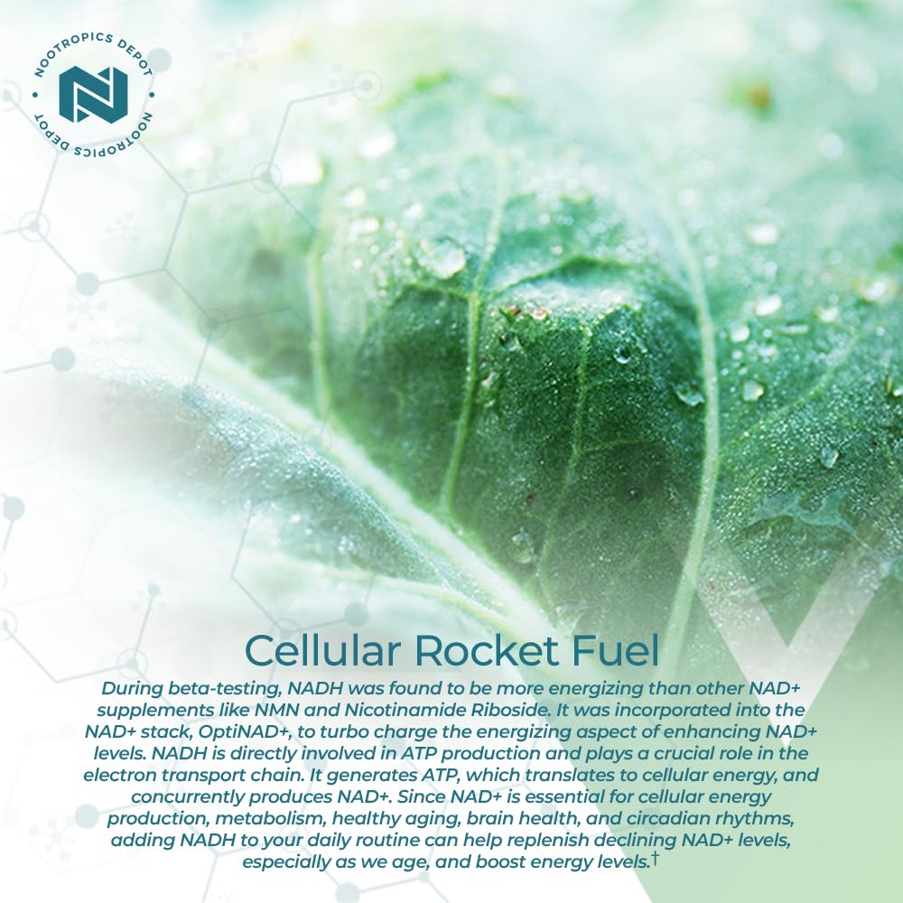 Morning routine with NADH + Chlorella capsules for alertness.