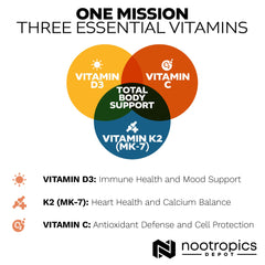 Nootropics Depot packaging highlights a year-supply for ongoing use.