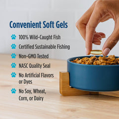 Nordic Naturals Omega-3 Pet heart health concept image emphasizing EPA and DHA benefits.