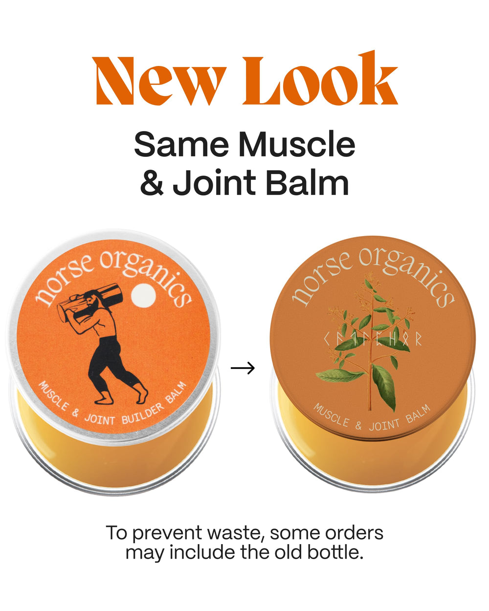 Norse Organics Arctic herbs collection showing natural ingredients for daily body care.
