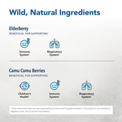North American Herb & Spice elderberry and camu camu ingredients displayed together.