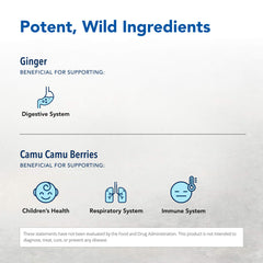 Ginger root concentrate from Inflam-eeZ highlighting potent aroma and color