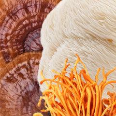 North Spore Clarity ingredients chart visualizing Lion’s Mane, Reishi, Cordyceps.