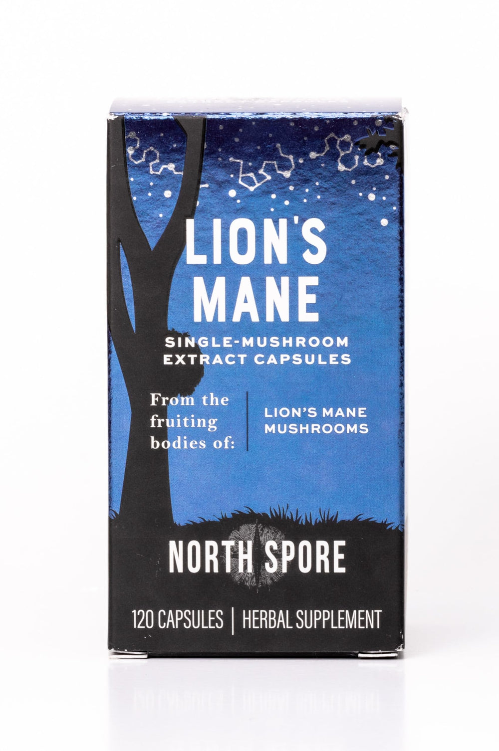 North Spore Lion's Mane capsules 120ct visually packaged for easy daily supplementation.