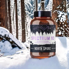 North Spore Spectrum 10 mushroom blend illustration conveys energy and balance