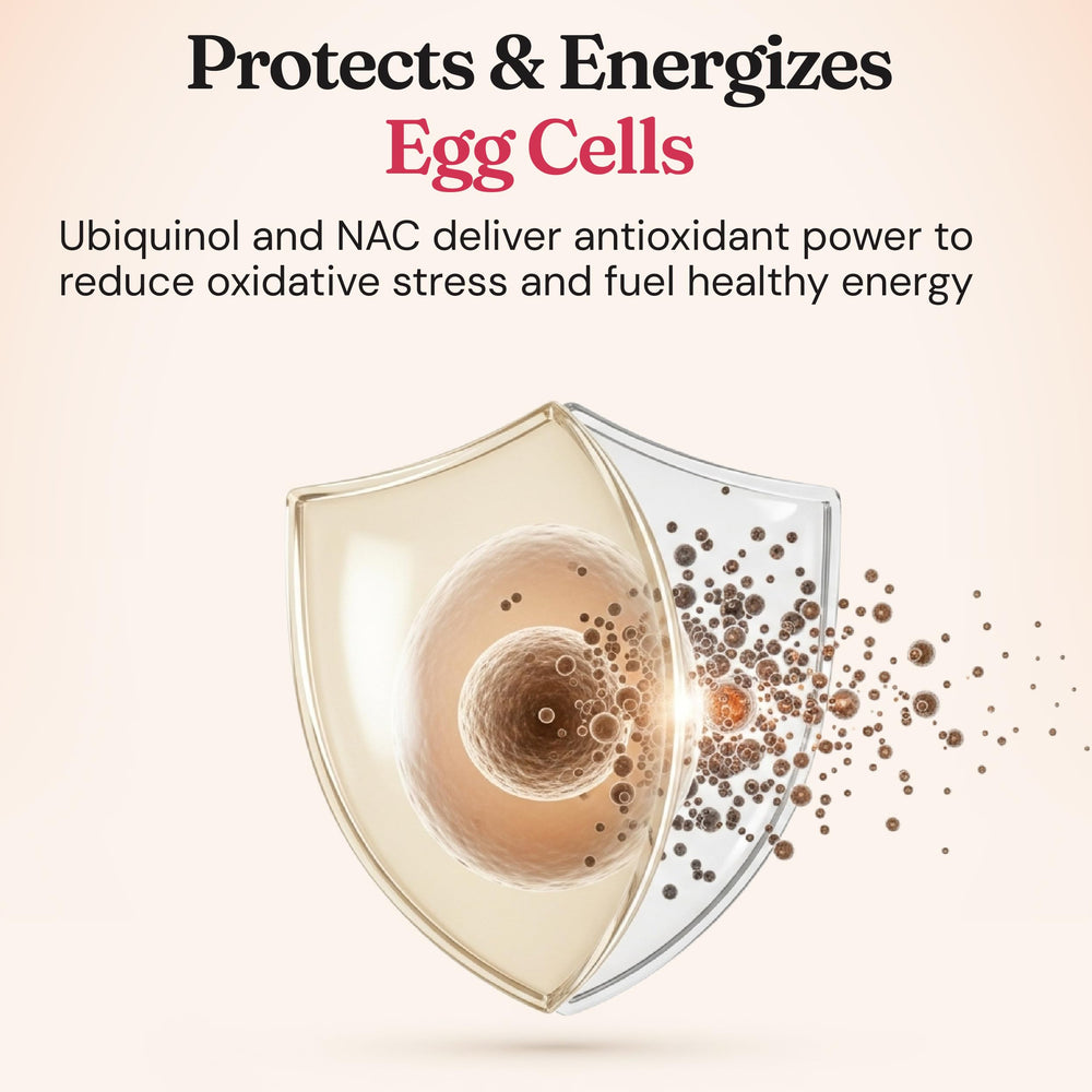 Nourished Natural Health CycleBloom beetroot powder closeup highlights natural color.