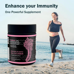 Nova Sea Atlantic key ingredients graphic highlights fucosylated chondroitin sulfate and fucoidan.