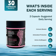 Nova Sea Atlantic product packaging emphasizes accessibility and premium presentation.