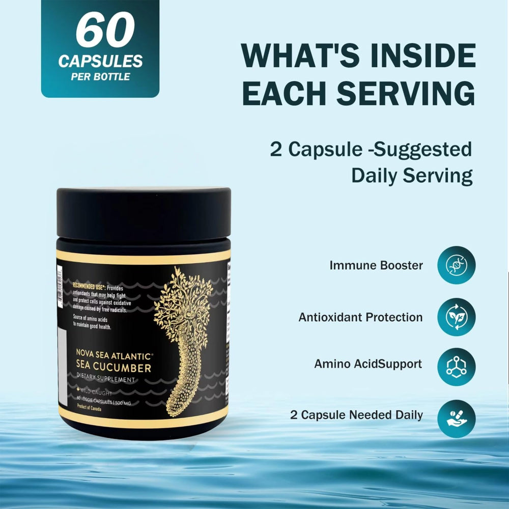 Nova Sea Atlantic sea cucumber packaging reflects sustainable harvest