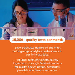 NOW Bromelain 2400 GDU graphic indicating high potency