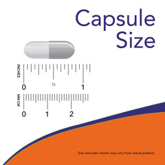 NOW Foods Alpha Lipoic Acid 250mg label closeup highlights non-GMO formula