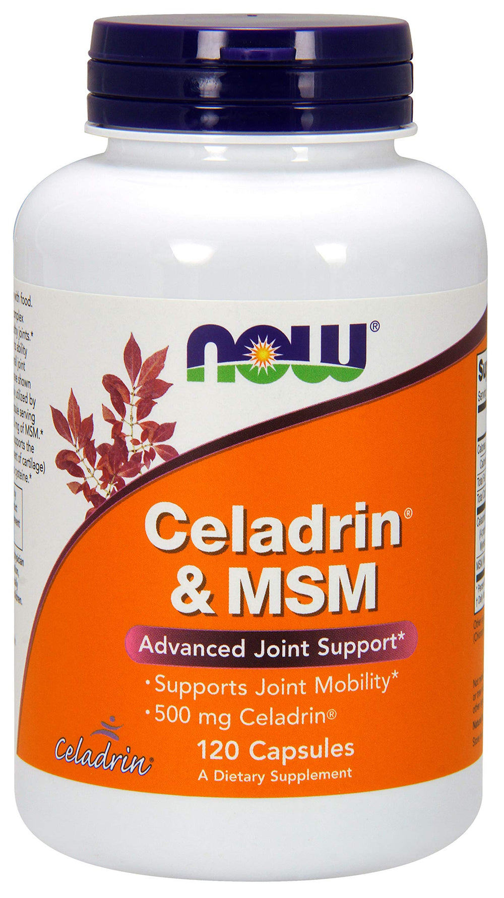 NOW Foods Celadrin® & MSM 500mg bottle front showing joint support supplement
