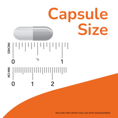 NOW Foods label closeup delivers ingredient details for informed supplementation