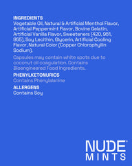 NUDE MINTS on-the-go-case photo showcases travel-ready breath refreshment.