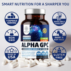 Number One Nutrition Alpha GPC travel-ready pack for on-the-go support