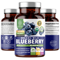 Number One Nutrition wild blueberry extract bottle displays 10:1 concentrate for daily immune support