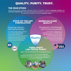Numi Naturals Neurofix+Chill break-desk moment, suggesting mindful breaks for focus.