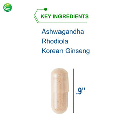 Nutra BioGenesis Bioadaptogen Ultra capsules ready for daily use