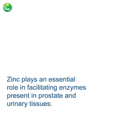 Nutra BioGenesis BioProstate lycopene inclusion for cell health