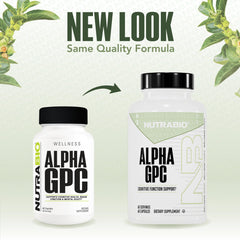 Close-up of Alpha GPC capsules highlighting convenience for daily cognitive support