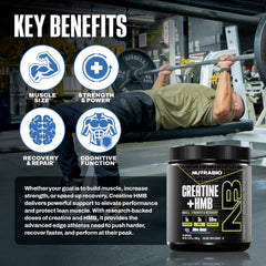 NutraBio Creatine HMB scoop shows convenient daily serving.