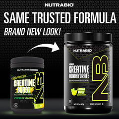 NutraBio Lemon Burst creatine powder scoop showing accurate serving for workouts