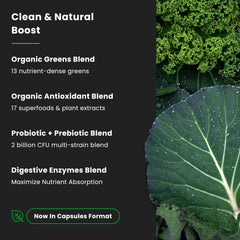 NutraChamps Organic Super Greens ingredients packaging emphasizes clean energy and gut-friendly nutrients.
