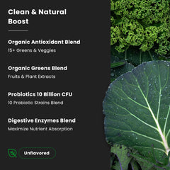 NutraChamps Super Greens label detail highlights organic greens blend quality.