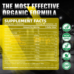 NUTRAGOGO Creatine Gummy sugar-free formula close-up on tasty, convenient supplementation