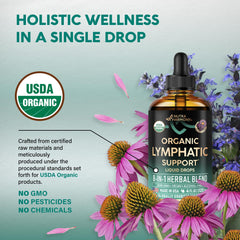 NutraHarmony Lymph Drops burdock root close-up of herbal components