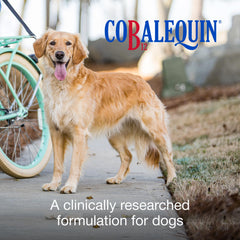 Cobalequin B12 bottle with labeled tablets for dogs.