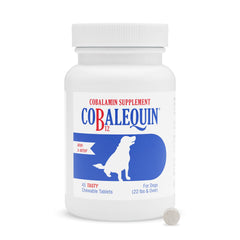 Nutramax Cobalequin B12 chewable tablets for dogs, easy administration.