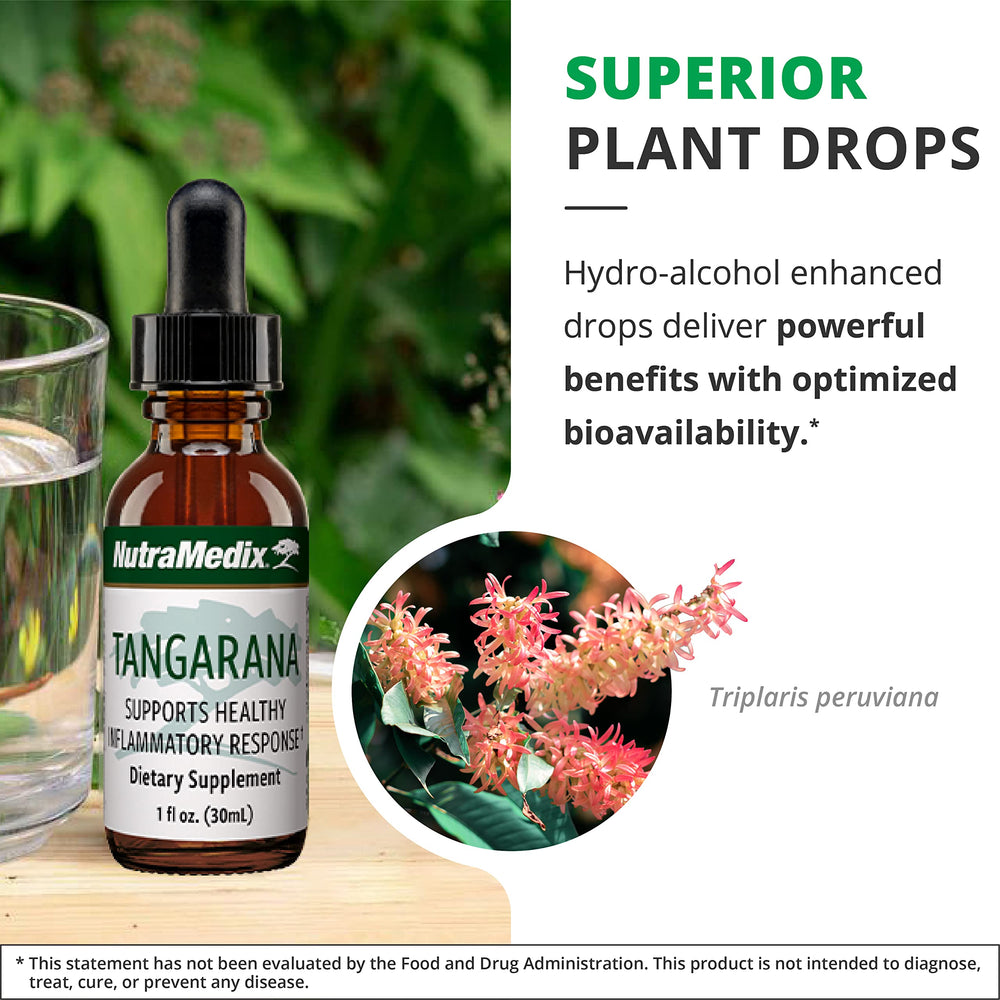 NutraMedix Palo Santo extract visual hints at nature-based wellness