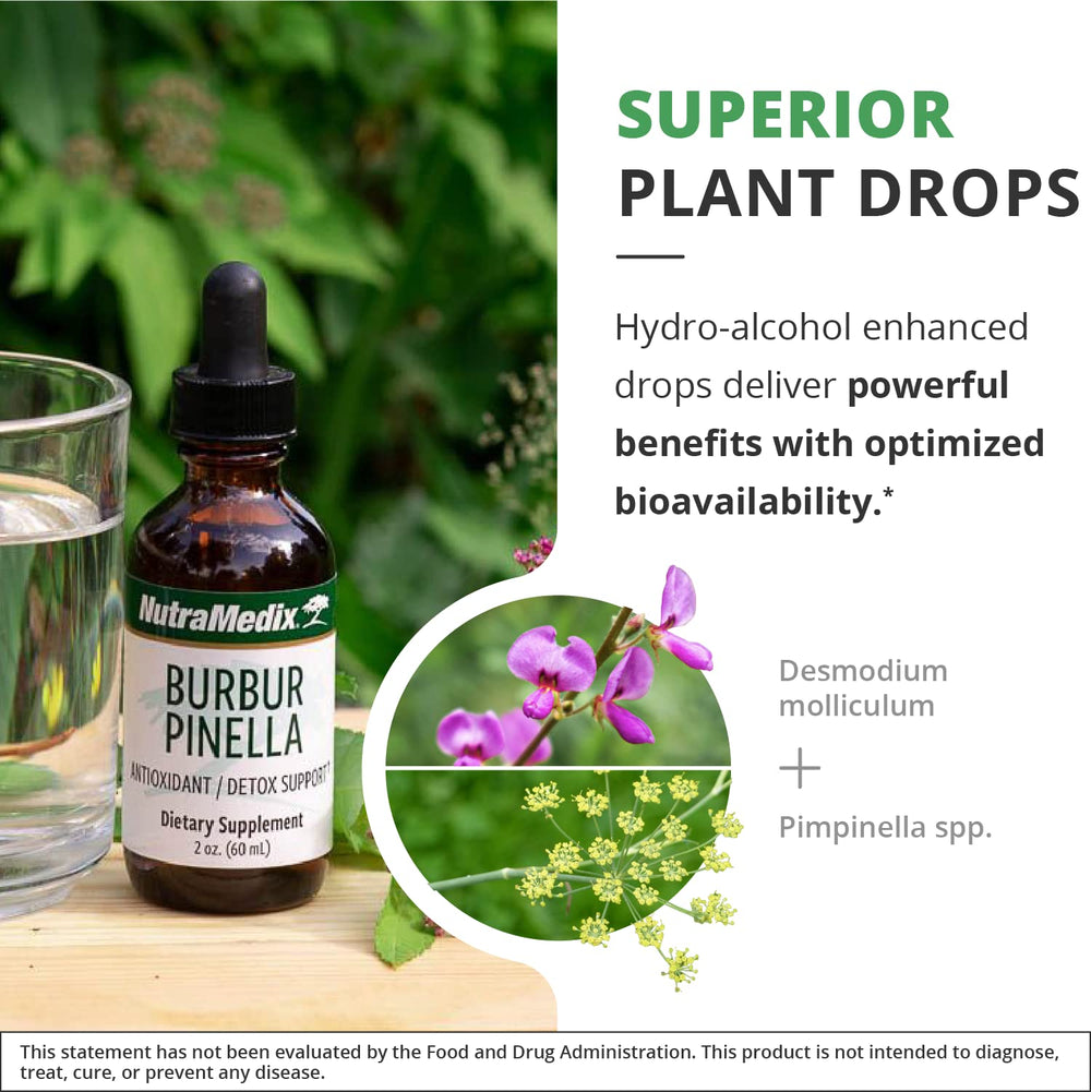 NutraMedix Pimpinella spp image featuring the anise plant used in formula.
