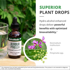 NutraMedix Pimpinella spp image featuring the anise plant used in formula.