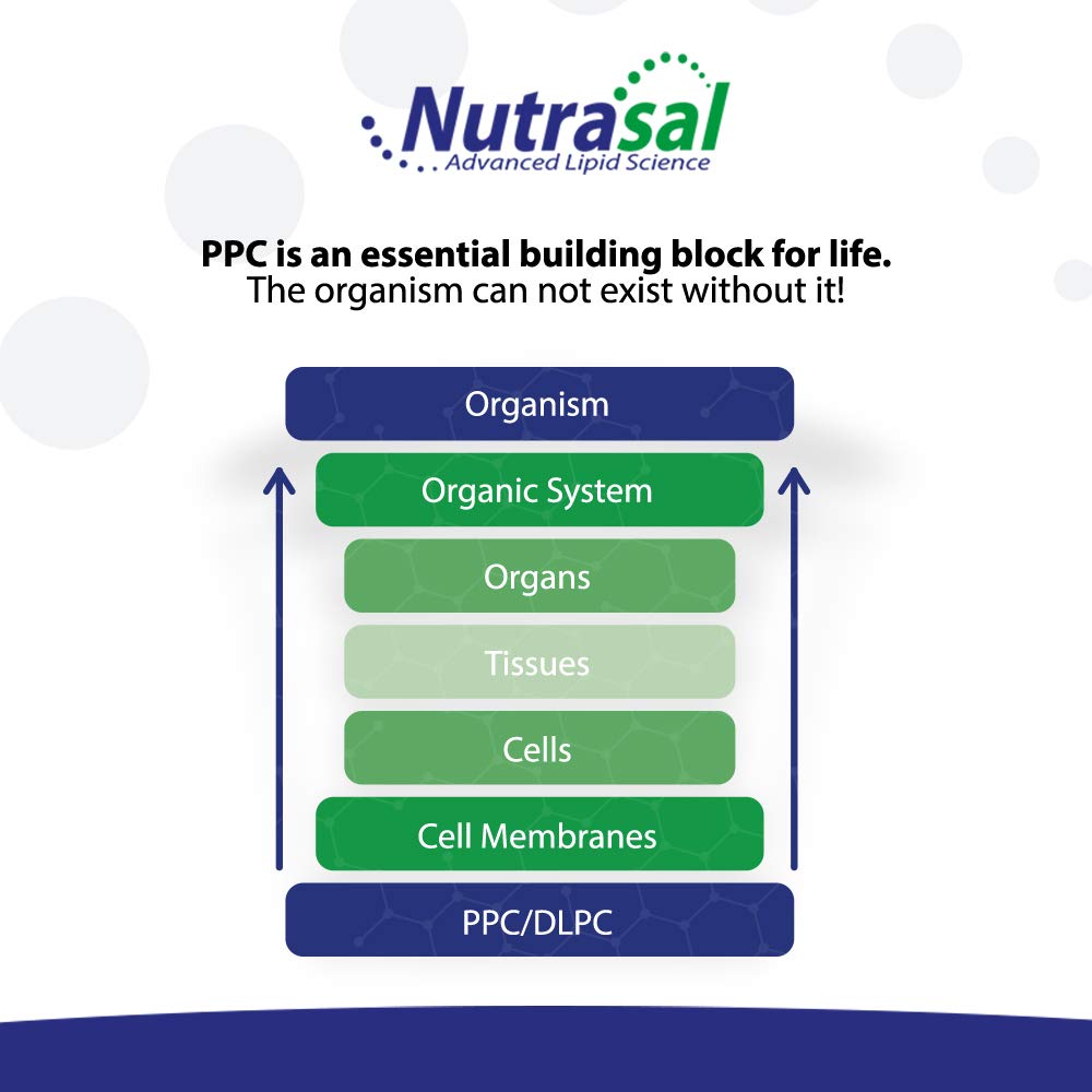 Nutrasal PhosChol packaging emphasizes 96 servings per bottle for extended use.