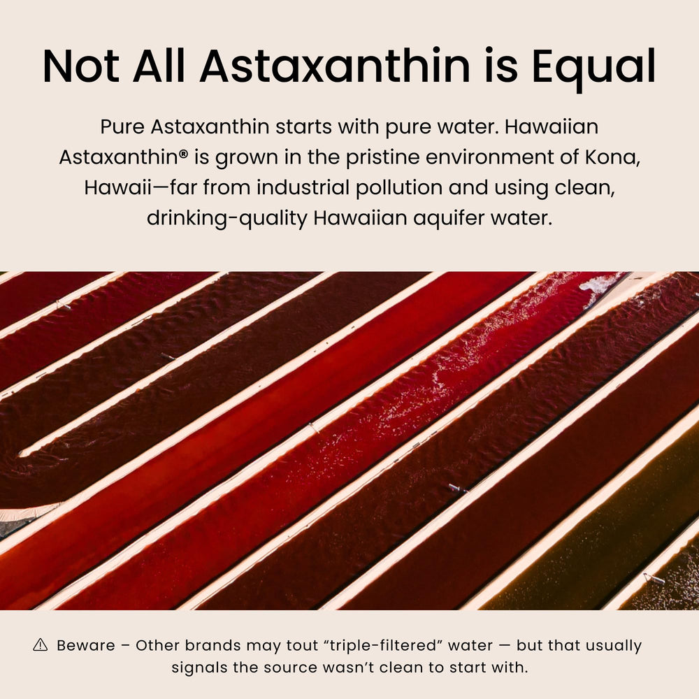 Filtered Hawaiian aquifer water source used for cultivation.