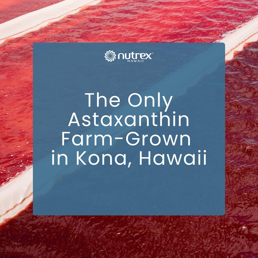 Sun-drenched Kona landscape reflecting Hawaiian farming heritage.
