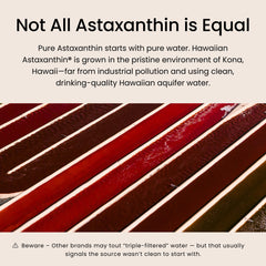 Nutrex Hawaii BioAstin softgels on neutral surface for skin moisture imagery.