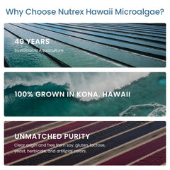 Nutrex Hawaii Kona Coast farm view highlighting natural cultivation.