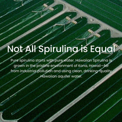 Non-GMO seal on Nutrex Hawaii Spirulina packaging.