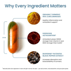 BioAstin capsules highlight antioxidant ingredients for potential cellular vitality